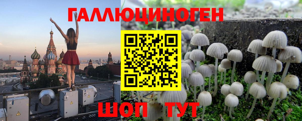 Галлюциногенные грибы мицелий Снежинск