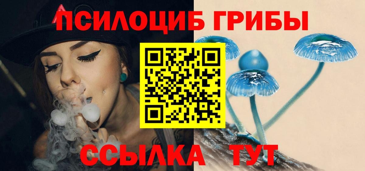 закладка  Галлюциногенные грибы Cubensis  Вход с VPN  Снежинск 
